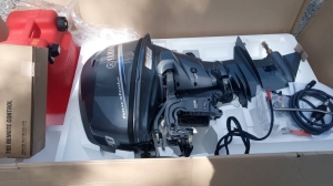 YAMAHA F20GES
